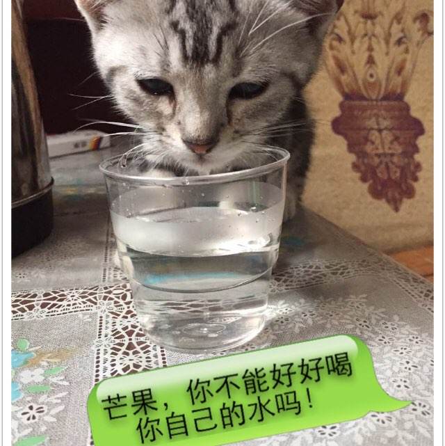买个假的米德伯理学院文凭毕业证